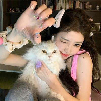 上翼!